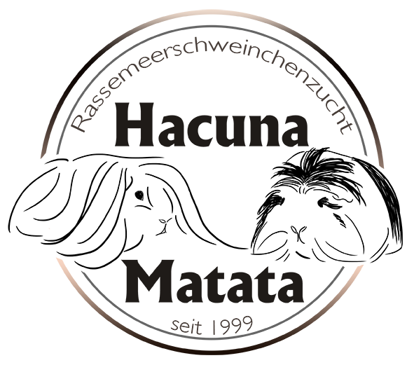 Hacuna Matata Hobbyrassemeerschweinchenzucht